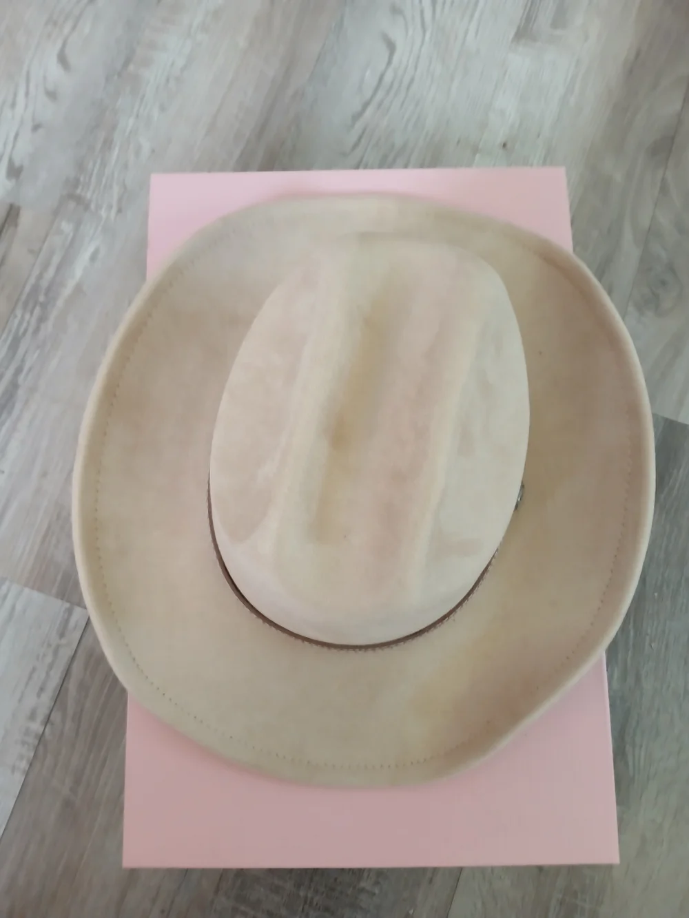 Beige Women's Wide-Brim Felt Hat